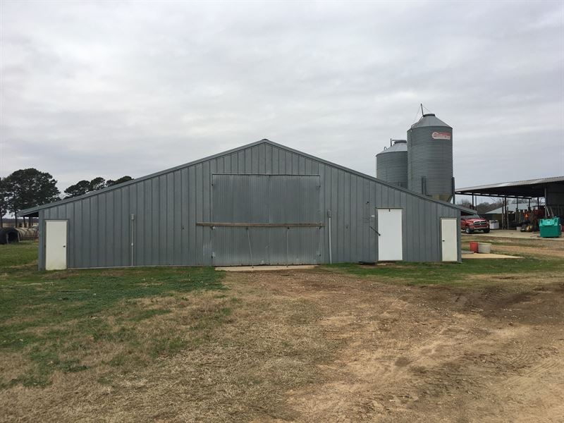 Poultry Farm Dekalb Texas Bowie : De Kalb : Bowie County : Texas