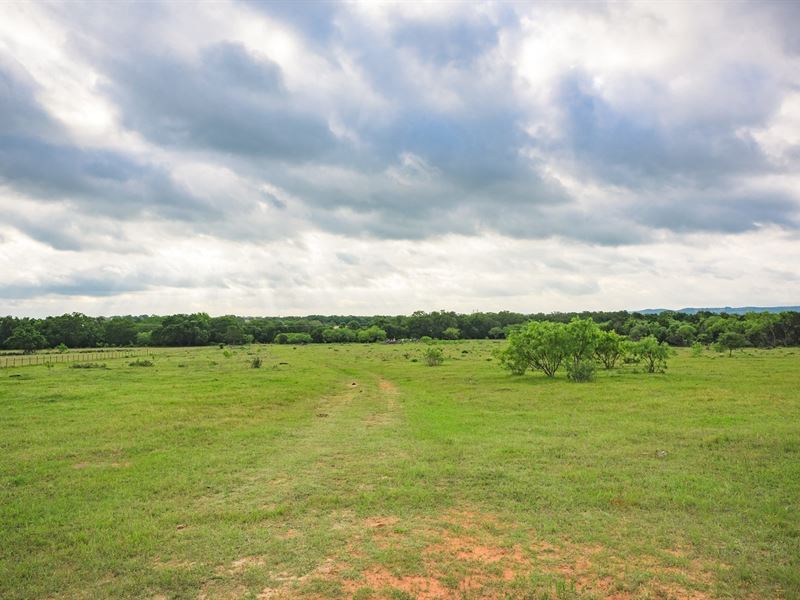 Farm, Ranch Vineyard Land : Fredericksburg : Gillespie County : Texas
