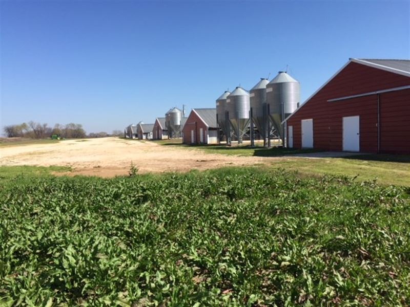 Poultry Farm, Morris County Texas : Omaha : Morris County : Texas