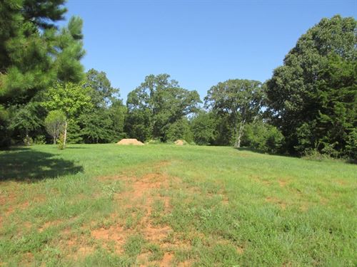 Lot In Palestine City Limits : Palestine : Anderson County : Texas