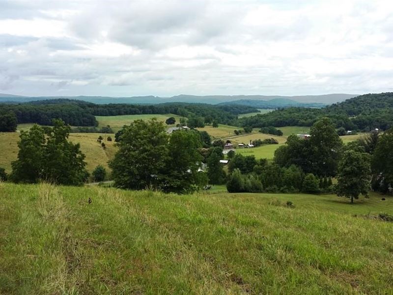 Hunting/Gentleman's Farm Bland, VA Farm for Sale in Bland, Bland