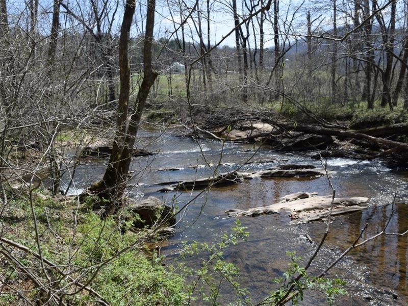 Riverfront Wooded Land Franklin, Farm for Sale in Virginia, 168016