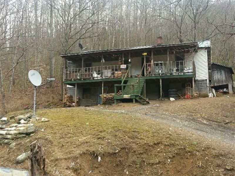 Ten Acres Older Home Cedar Bluff, Farm for Sale in Virginia, 168047