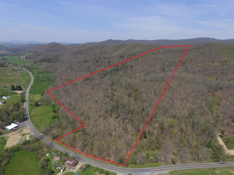 51 Wooded Acres in Ceres, VA, Farm for Sale in Virginia, 168052 FARMFLIP