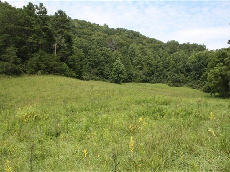 Large Hunting Recreational Tract, Farm for Sale in Virginia, 168175