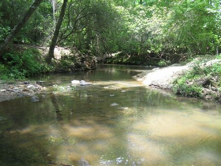 Bank Owned - 36 Acres for $119k : Thomaston : Upson County : Georgia