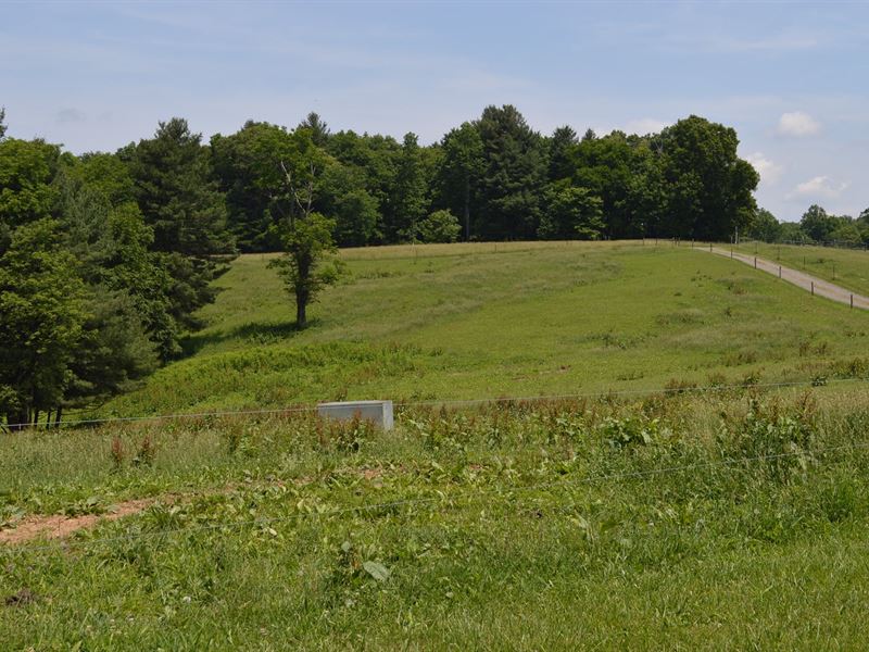 Beautiful Horse Farm Galax VA, Farm for Sale in Virginia, 168255