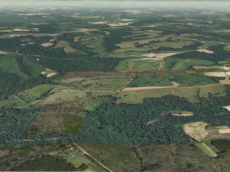 Halifax, Va, 100+ Acres Farm, Farm for Sale in Virginia, 168261 FARMFLIP