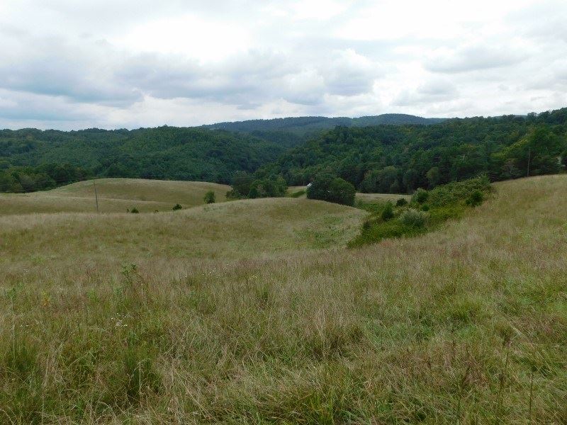 Pasture Land Mountain Views Indian, Farm for Sale in Virginia, 168318