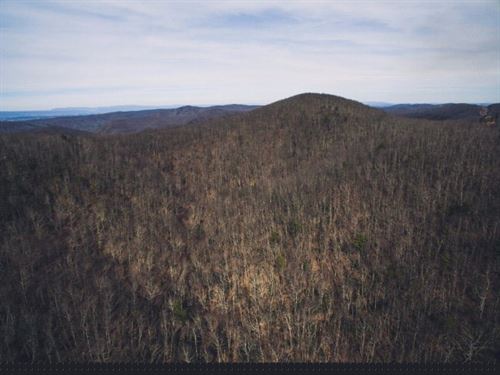 Timberland In Montgomery County, VA : Roanoke : Montgomery County : Virginia