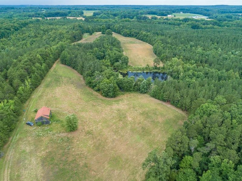 110 Acres Farmland in Southern VA, Farm for Sale in Virginia, 168604