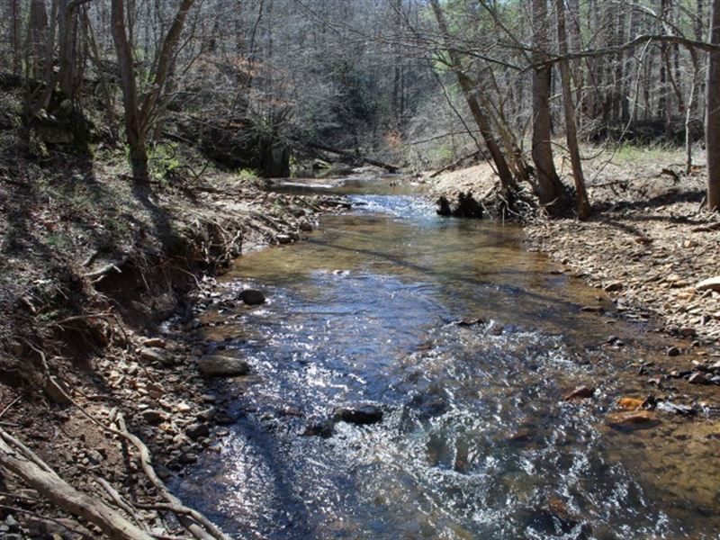 58.21 Acres Land Patrick County, VA Farm for Sale in Woolwine