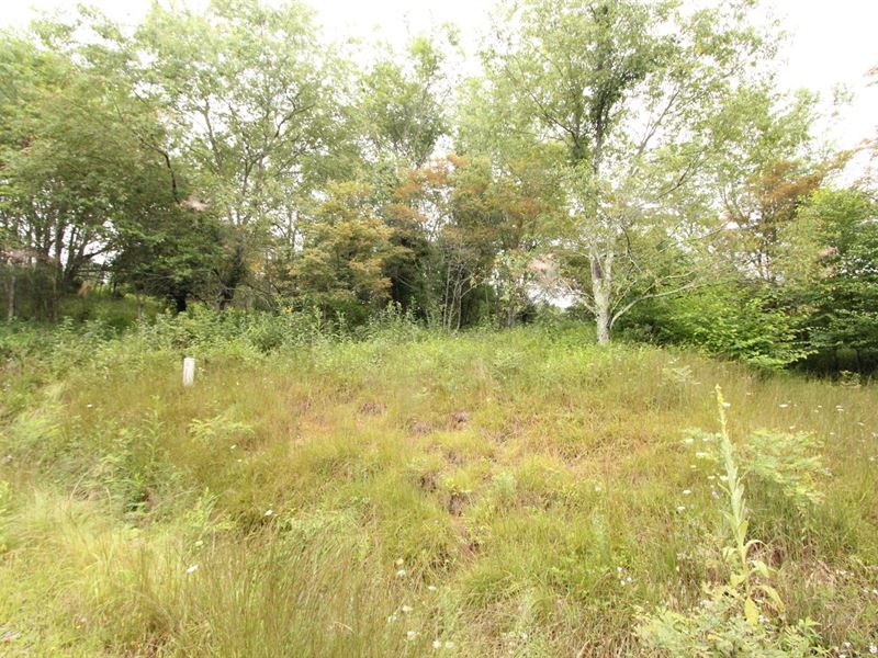 6.06 Acres Gated Community Blue : Independence : Grayson County : Virginia