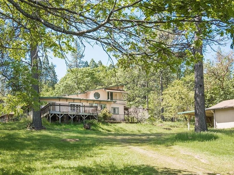 Mountain Ranch Country Home Berry Farm for Sale in Berry Creek, Butte