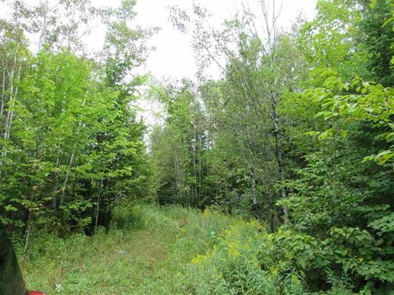 5569 State Highway M38 : Matchwood : Ontonagon County : Michigan