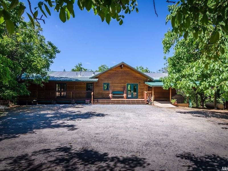 Horse Property Walnut Farm, Farm for Sale in California, 169341 FARMFLIP