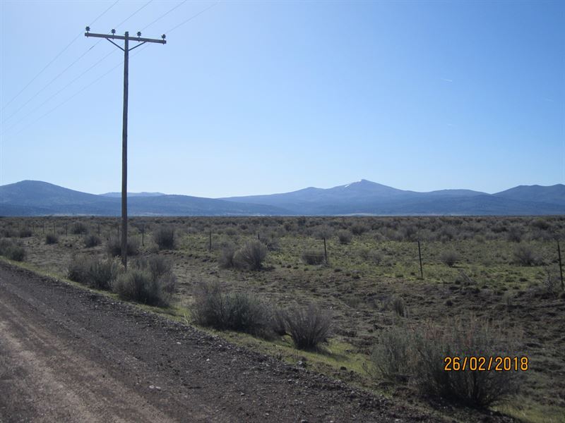 19.81Acre Vacant Land Northern : Madeline : Lassen County : California