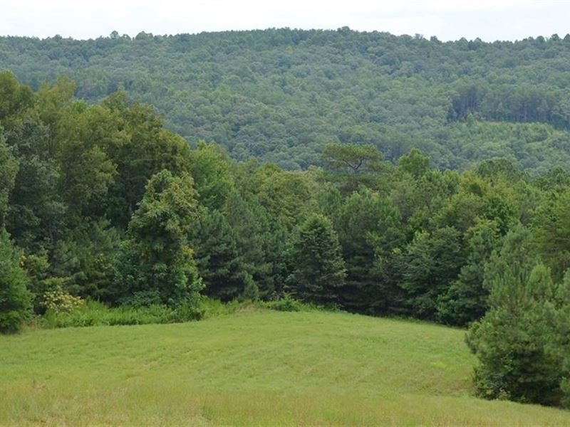 52.22 Acres, Long Branch Farms : Talking Rock : Pickens County : Georgia