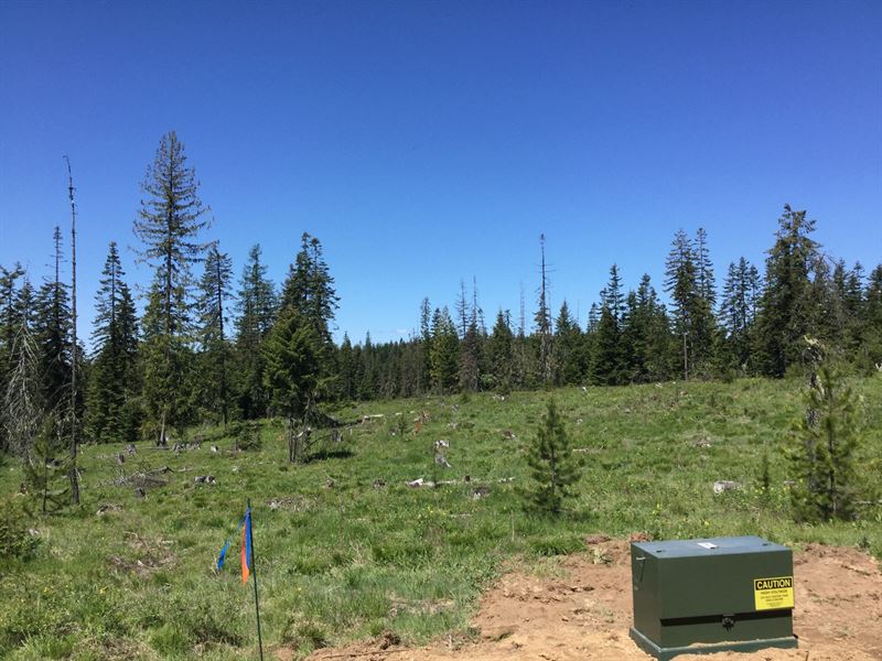 Acreage Near Orofino, Idaho : Orofino : Clearwater County : Idaho