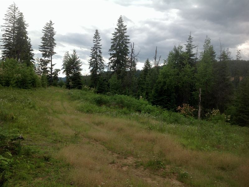 Building Site Close to Orofino : Orofino : Clearwater County : Idaho