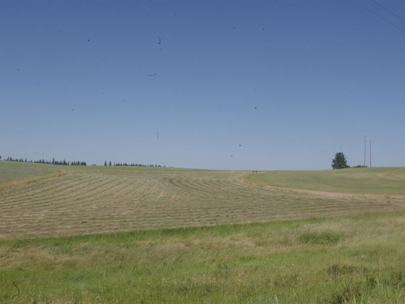 Tillable Grazing Land Weippe, Idaho, Farm for Sale in Idaho, 169998 FARMFLIP