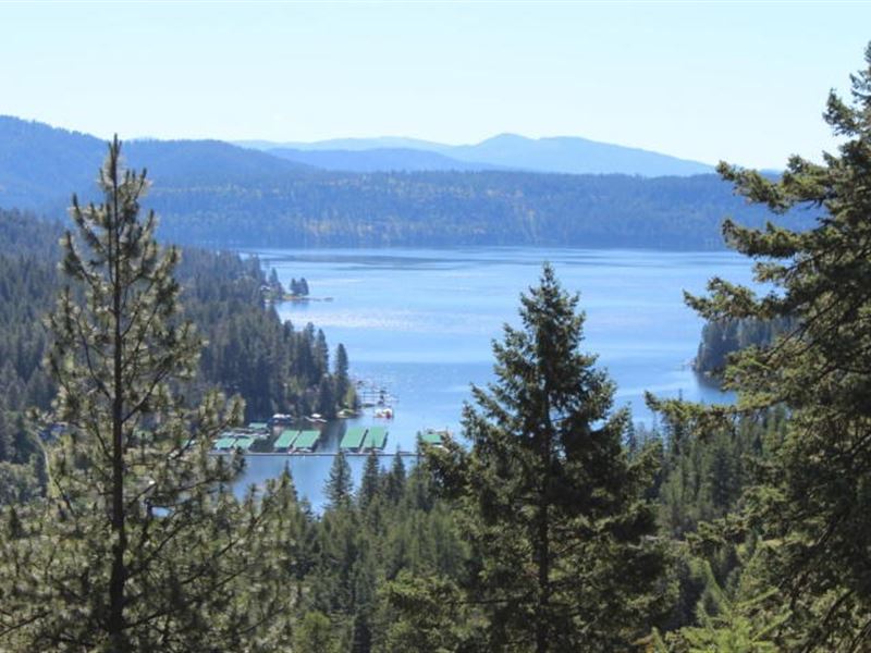 Exceptional Idaho Acreage Northwest : Worley : Kootenai County : Idaho