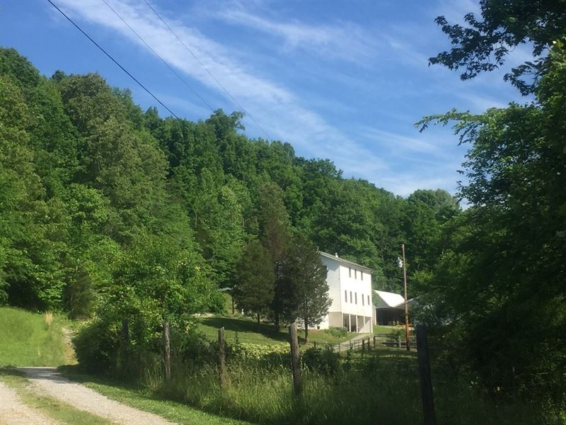 Beautiful Amish Built Home 14 Acres : Columbia : Adair County : Kentucky