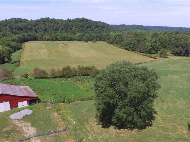 Barn, Creek, Wildlife, Farm, Farm for Sale in Kentucky, 170422 FARMFLIP
