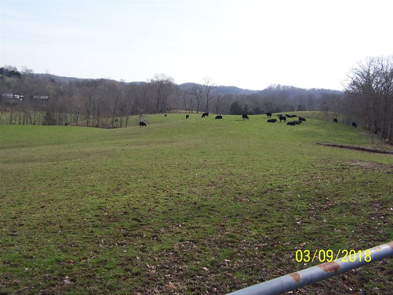 52 Fenced Acres Us 127 Frontage : Liberty : Casey County : Kentucky