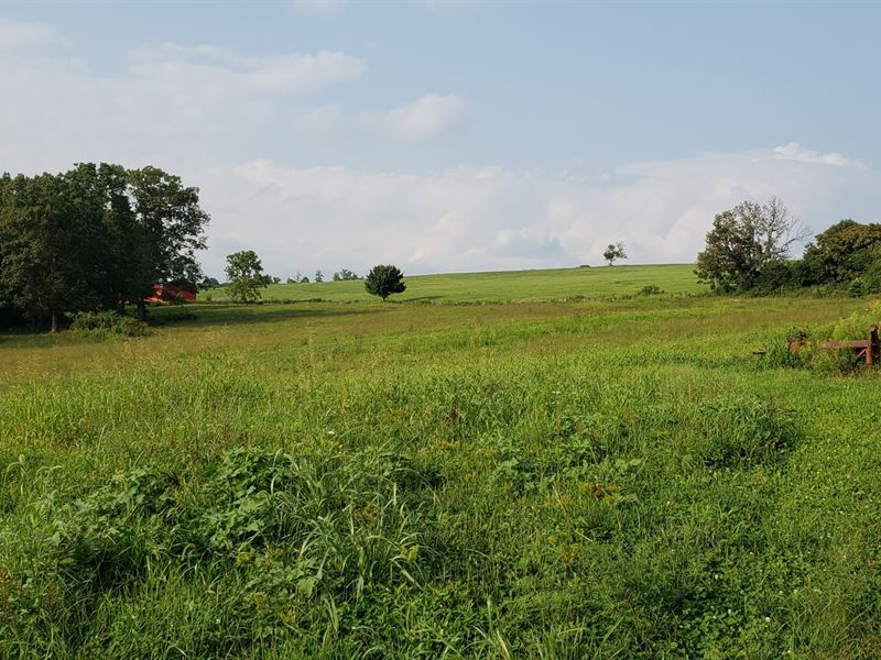 50 Acre Farm Nancy Ky, Land KY Farm for Sale in Nancy, Pulaski County