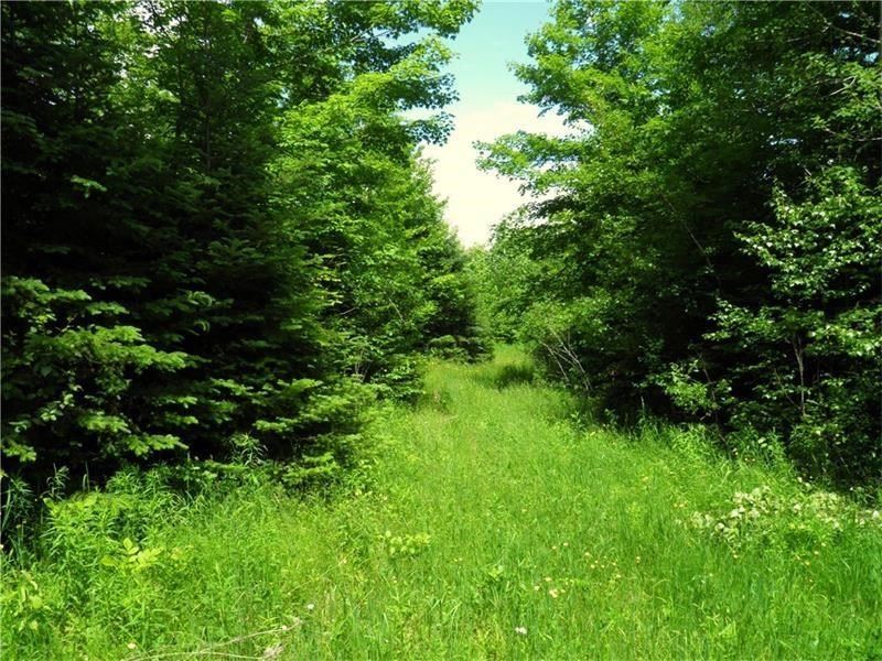 Maine Land For Sale in Benedicata Farm for Sale in Benedicta