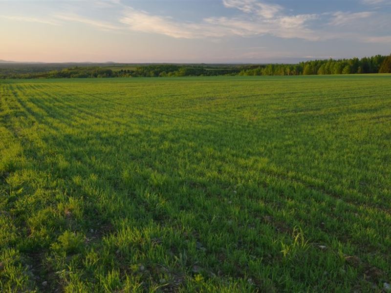 Maine Farm Land in Cyr Plantation Farm for Sale in Hamlin, Aroostook