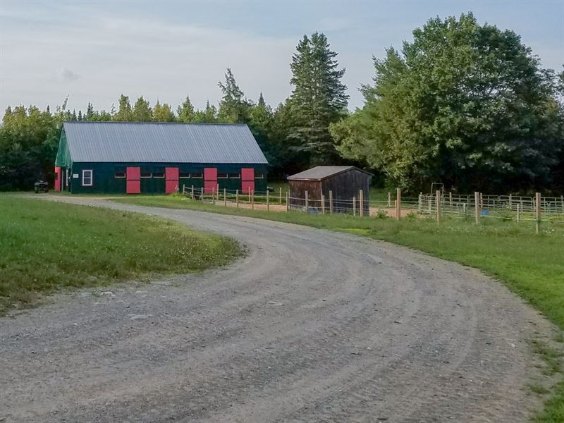 Maine Horse Property Dover Foxcroft : Dover-Foxcroft : Piscataquis County : Maine