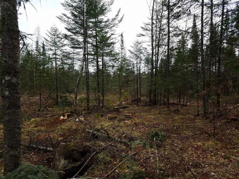 Maine Land for Sale in Enfield : Burlington : Penobscot County : Maine