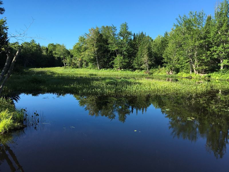 River Property, Howland, Maine, Farm for Sale in Maine, 170667 FARMFLIP