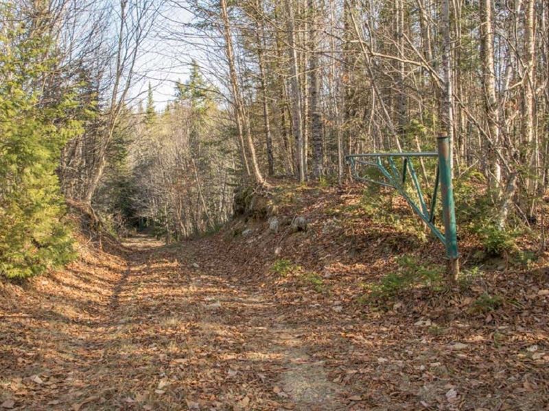 Maine Cabin for Sale in Springfield : Springfield : Penobscot County : Maine