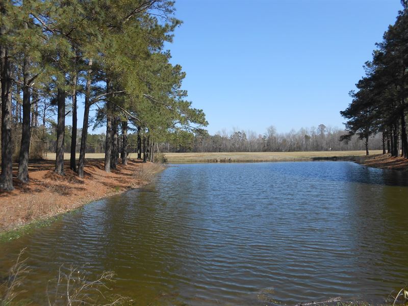 Farmland Beaufort County NC, Farm for Sale in North Carolina, 171113