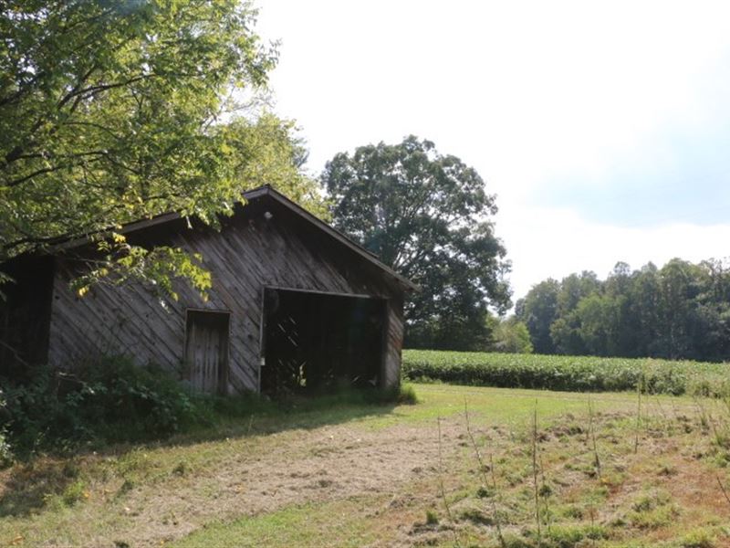 Land for Sale in Dobson, NC, Farm for Sale in North Carolina, 171124