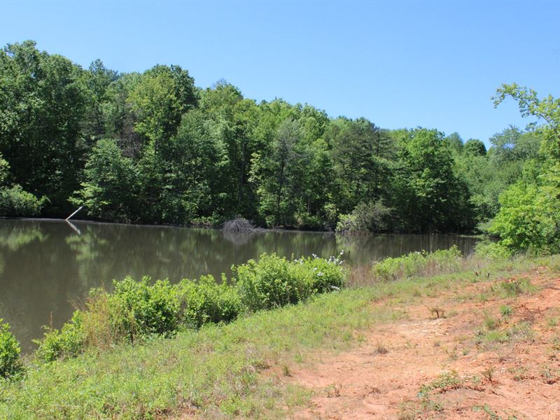 7.5 Acres With Pond in Pinnacle, NC Farm for Sale in Pinnacle, Stokes