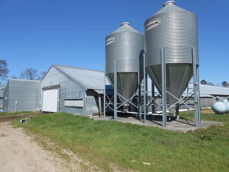 Poultry Farm North Carolina Bertie : Windsor : Bertie County : North Carolina