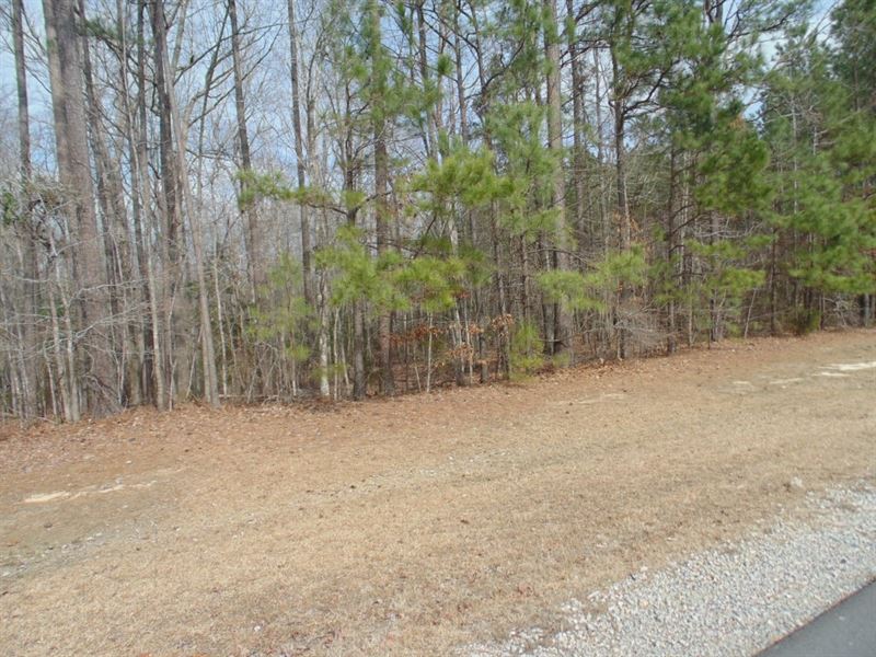 Wooded Acreage, Winton, North, Farm for Sale in North Carolina, 171654
