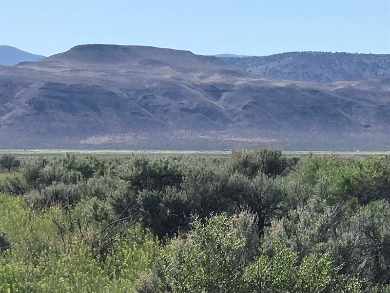 Desert Land Gerlach, Washoe, NV : Gerlach : Washoe County : Nevada