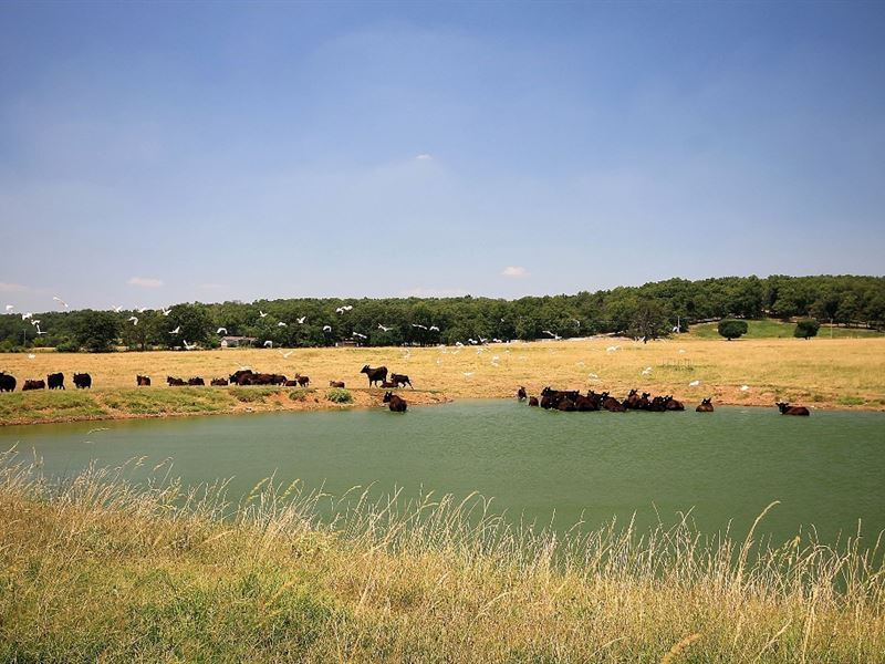 Land For Sale in Northeast Oklahoma Farm for Sale in Afton, Ottawa County, Oklahoma 171882