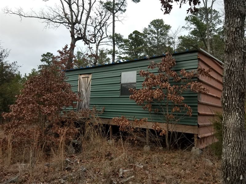 10 Acres & Cabin Kiamichi Farm for Sale in Moyers, Pushmataha County, Oklahoma 172329