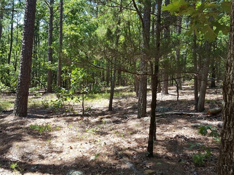 Kiamichi Wilderness Hunting Land, Farm for Sale in Oklahoma, 172341