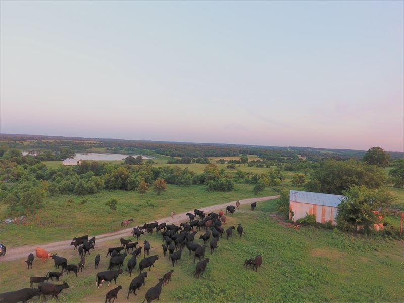 400 Acre Cattle Ranch Hunting Land Farm for Sale in Stratford, Garvin