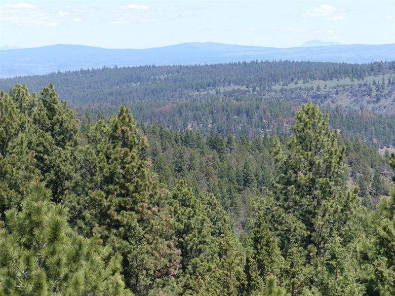 Burns, Timbered Parcel Northeast, Farm for Sale in Oregon, 172573