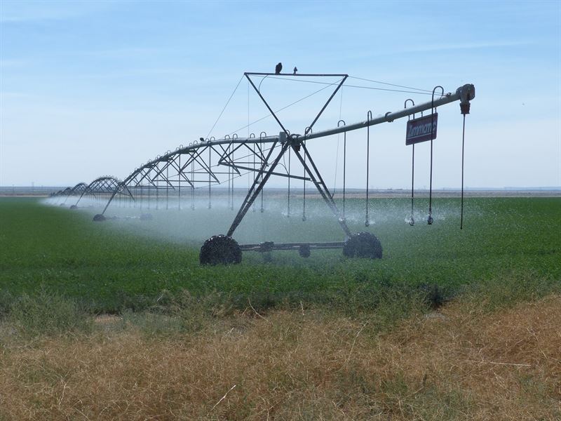 Burns, Or Hay Farm, Eastern Oregon, Farm for Sale in Oregon, 172593