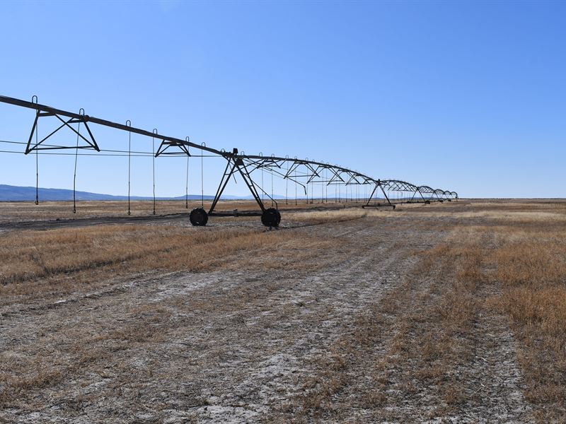 Pivot Irrigated Acreage for Sale, Farm for Sale in Oregon, 172630