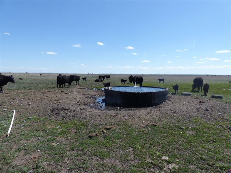 Cattle Pasture for Sale in Burns Or, Farm for Sale in Oregon, 172646